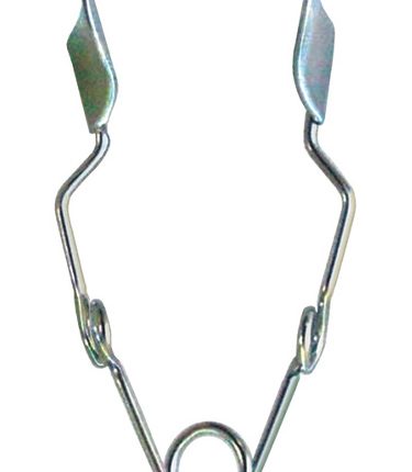 Dental Instruments & Equipment